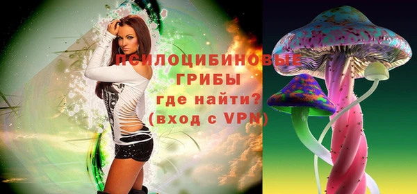 первитин Ладушкин