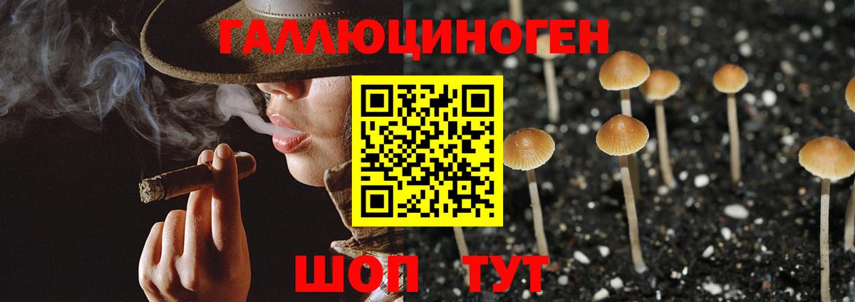 Галлюциногенные грибы GOLDEN TEACHER  Вход с VPN  цена наркотик  Псилоцибиновые грибы ЛСД  Сланцы 